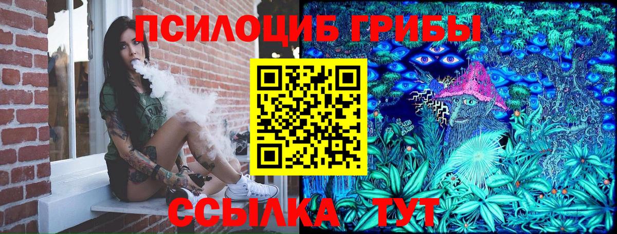 Псилоцибиновые грибы Psilocybine cubensis Новосибирск